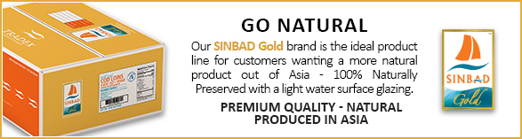 SINBAD Gold Banner